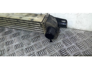 Интеркулер  00000384L7   Citroen Nemo 