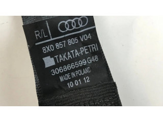 Задний ремень безопасности