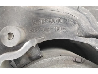 Вентилятор радиатора RHY Citroen Berlingo