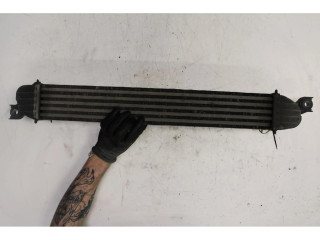 Интеркулер Mini Paceman (R61) 2.0