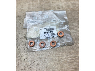 Форсунка 198169, 4Pcs    Citroen C1   