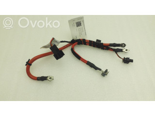 Плюсовый провод (аккумулятора)