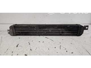 Интеркулер     Opel Meriva A 