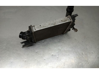 Интеркулер  144963014R, 14461B680E   Dacia Sandero 