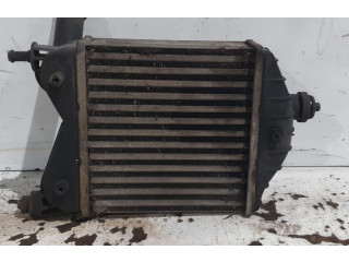 Интеркулер     Fiat Punto (188) 