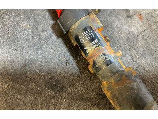 Форсунка 9686191080, 08006L9896    Peugeot Expert   