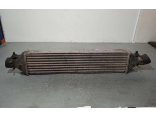 Интеркулер Fiat Grande Punto