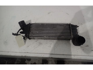 Интеркулер     Citroen C8 