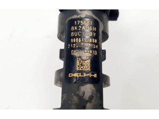 Форсунка 9686191080 Peugeot Expert RH02