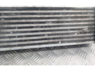 Интеркулер 4999282 Ford Transit - Tourneo Connect