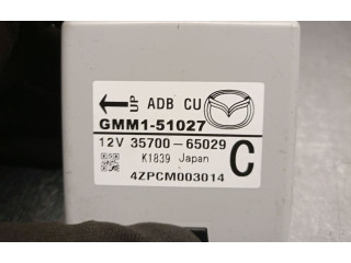 Блок управления Xenon