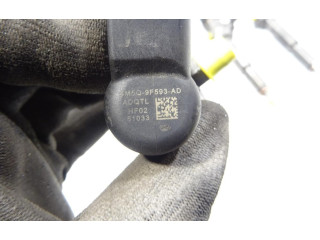 Форсунка 1355051    Ford Transit -  Tourneo Connect  RWPA 