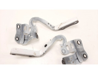 Петля (петли) капота двигателя