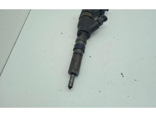 Жиклер (жиклеры) (форсунка (форсунки) 0445110044 Citroen C4 I Picasso