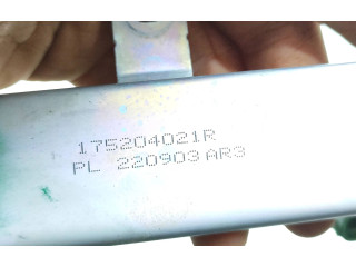 Комплект форсунок 175204021R, 220903AR3 Renault Clio V h4d470