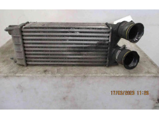 Интеркулер  384N9, 384N9   Peugeot 5008 