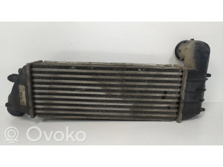 Интеркулер 1489396080, IA1076 Citroen C8 2.2