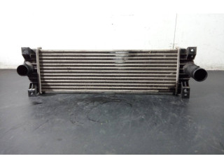 Интеркулер  621970, P2-A11-11   SsangYong Kyron 