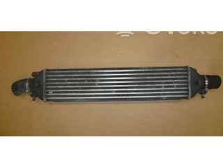 Интеркулер  51837369, 51837369   Fiat Punto Evo 