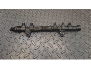 Vstřikovací lišta 494092, 0445214217 Fiat Punto (199) 199 B4.000