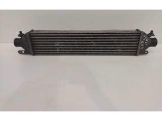 Интеркулер  51783791, 51783791   Fiat Bravo - Brava 