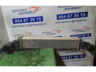 Интеркулер  A2115002602, A2115002602   Mercedes-Benz E AMG W211 