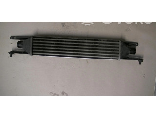 Интеркулер Fiat Grande Punto