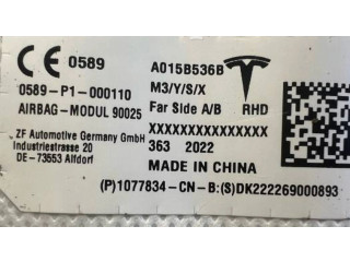 Подушка безопасности двери 1077834-CN-F Tesla Model S