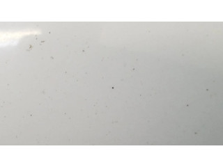 Zpětné zrcátko levé Audi A3 S3 A3 Sportback 8P 2010 E1021262, 021262