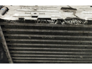 Интеркулер     BMW X3 F25 