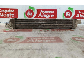 Интеркулер     Opel Meriva A 