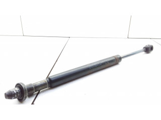 Задний амортизатор      