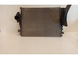 Интеркулер     Jaguar XF X250 