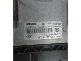 Блок управления двигателя 0281016492 KIA Ceed