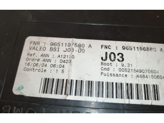 Блок предохранителей 9651197580, 9651196880   Peugeot 307    