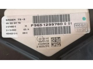 Přístrojová deska Peugeot 307 CC 2003 P9651299780, 216748822