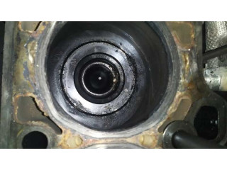 Píst 0000504386684, BIELA Fiat Ducato pro naftový motor 2.3 F1AE3481D