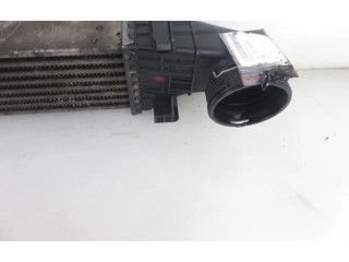 Интеркулер  2115001102, 2115001102   Mercedes-Benz E AMG W211 