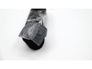 Řídící jednotka 7809955, 13617809955 BMW X5 E70 2008