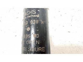 Задний aмортизатор