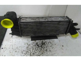 Интеркулер 1489396080, 870229H Citroen C8