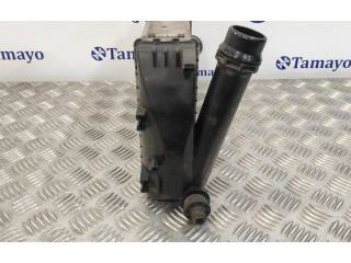 Интеркулер 144965154R Dacia Dokker