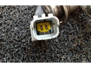 Vstřikovač 208995377RB Renault Sandero I