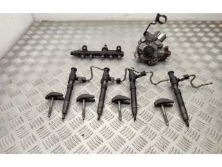 Комплект системы впрыска топлива 9674300080, 9674984080    Ford Kuga II  xrmc 