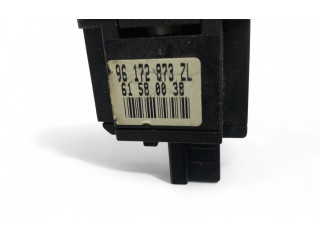 Ручка стеклоочистителей 96172873ZL Citroen Xsara Picasso