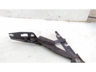 Петля (петли) задней крышки