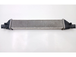 Интеркулер P5887001 Fiat Freemont