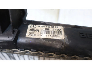 Поршень Радиатор охлаждающей жидкости    Mercedes-Benz B W245  