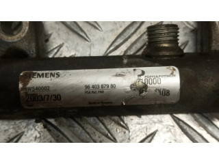 Vstřikovací lišta 9640387980   Citroen Berlingo  pro naftový motor 1.9  