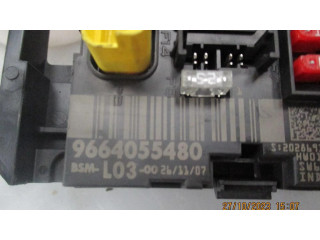 Блок предохранителей 9664055480   Citroen C2    